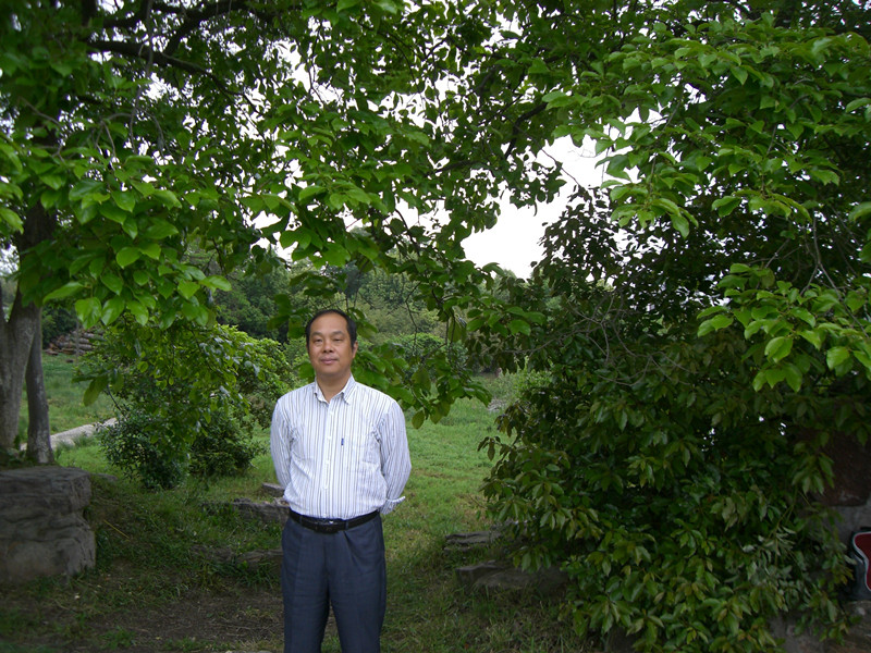 特聘教师：何夕平